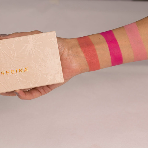 Imagen 3 de 5 de Paleta De Sombras Piel Abc Maquillaje Regina
