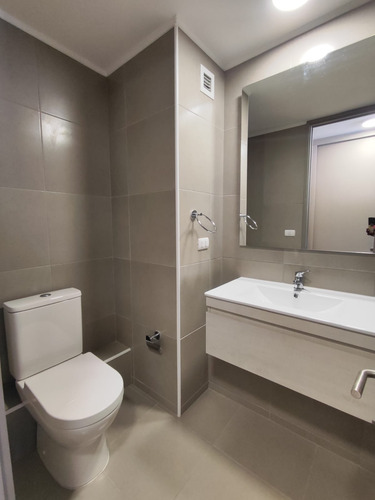 Arriendo Departamento 1 D 1 B Bod Y Terraza Semi Amoblado