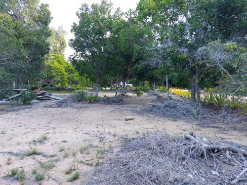 Imagem 11 de 23 de Terreno À Venda Em Arraial D'ajuda - Porto Seguro, Terreno Plano Com Área Limpa Pronta Para Construção, Ponto De Água, Energia, Área De Lazer E Playground