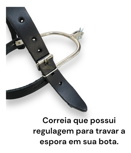 Conjunto Esporão 7 Pontas Com Fivela Para Sintos Caltry Top