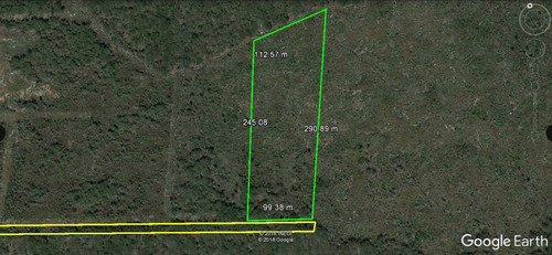 Imagen 5 de 7 de Terreno En Venta En Conkal 2.6 Hectáreas,mérida Yucatán
