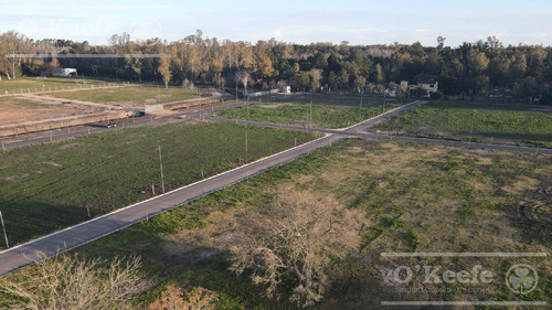 Imagen 8 de 18 de La Vikkina, Barrio Residencial- Lote De 309 M2 - Cumplí Tu Sueño, Viví Tranquilo