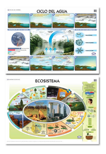 Lámina El Ciclo Del Agua / Ecosistema Mural Bifaz