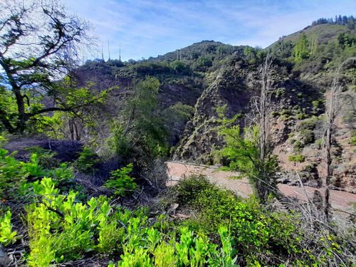 Se Vende Hermoso Terreno Con Arboles Frutales