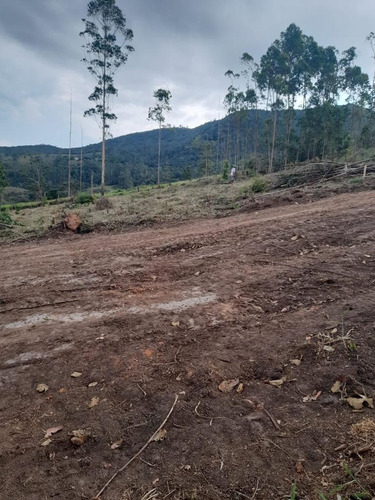 Imagem 11 de 21 de I58chegou A Hora Compre Seu Terreno 1000m² A Partir De 30mil
