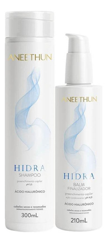  Shampoo Aneethun + Finalizador Hidra 300ml + 210ml