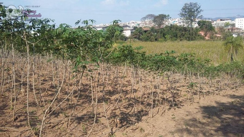 Imagem 11 de 15 de Área Para Loteamento Para Venda Em Atibaia, Loteamento Vale Das Flores - Te00141_2-795118