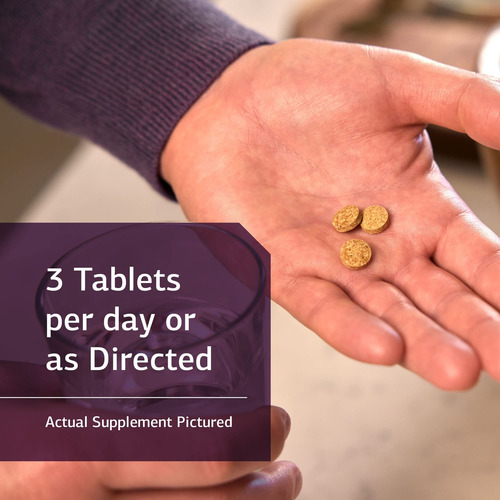 Suplemento Standard Process Catalyn 360 Tablets
