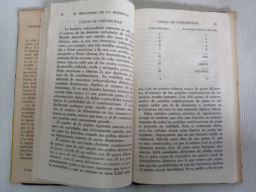 Herencia Raza Y Sociedad - L. C. Dunn - Dibzhansky - 1964 (Usado)