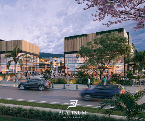 Venta Locaes Comerciales Y Oficinas En San Lorenzo Chico W Sinergico