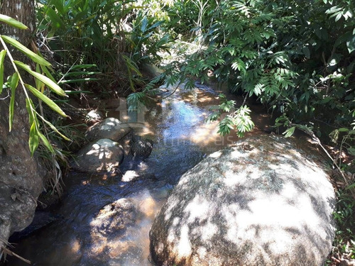 Imagem 2 de 26 de Chácara À Venda Em Canelinha/sc - 1026c