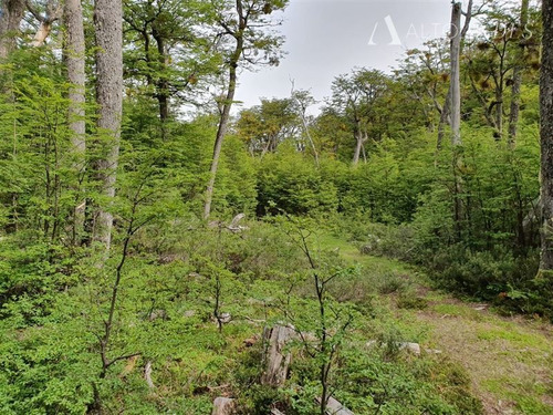 Imagen 6 de 30 de Sitio En Venta En Coihaique