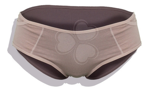 Panty Bikini De Algodón Con Bolsillo Oculto 728 Bras Jade