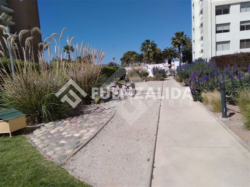 Departamento En Arriendo De 1 Dorm. En La Serena