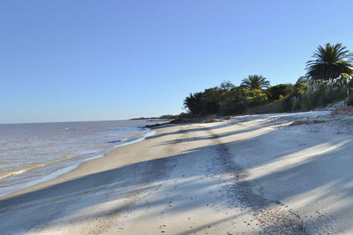 Fantástico Campo En Uruguay De 32 Ha Sin Mejoras En Artilleros, Colonia Del Sacramento, Uruguay.