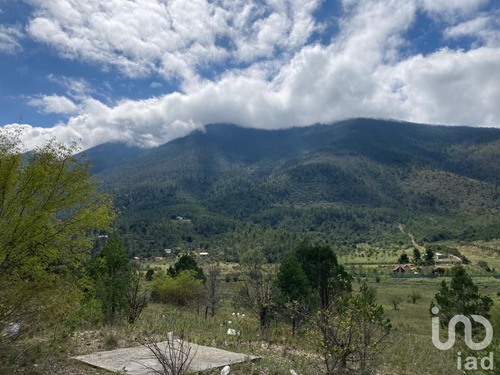Venta Terreno 0 Ambiente Los Lirios