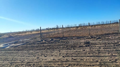 Imagen 13 de 13 de Terreno En Venta San Rafael Mendoza