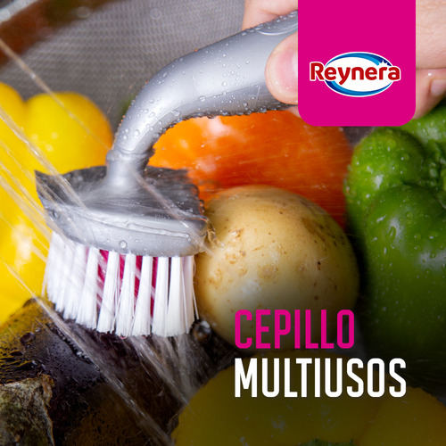 Kit De Cepillos Multiusos Para El Hogar Reynera 12 Pzas Color Gris