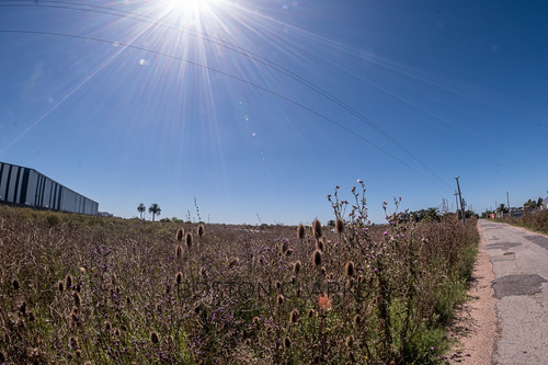 Terreno En Venta En Camino Buffa