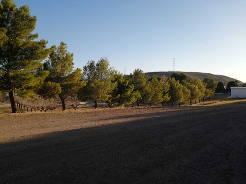 Imagen 7 de 17 de Terrenos En Venta Zona Reliz Chihuahua