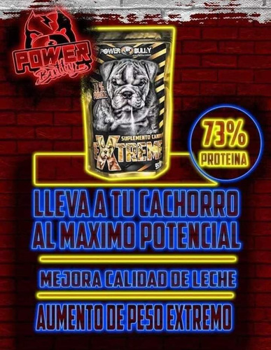 Proteína Para Perro
