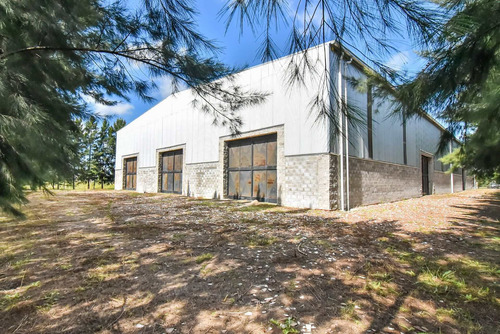 Alquiler O Venta Galpon 3000m2 Cañuelas A Estrenar