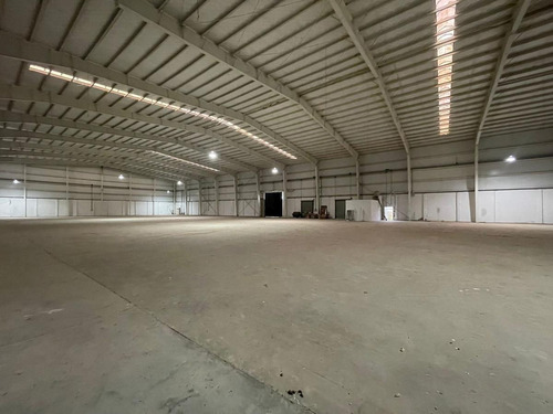 Imagen 24 de 30 de Fracción Industrial 26 Ha. Galpón 12.800 M² Cub. - Carlos Spegazzini