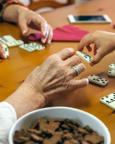 Jogo De Domino Profissional Com 28 Pecas 11,5 Mm - Acessórios e