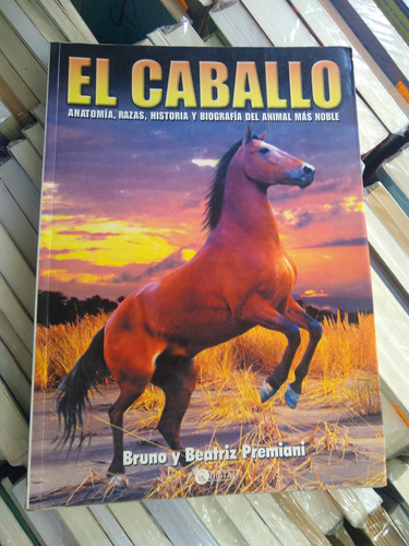 El Caballo Anatomía Razas Historia Y Biografía Premiani