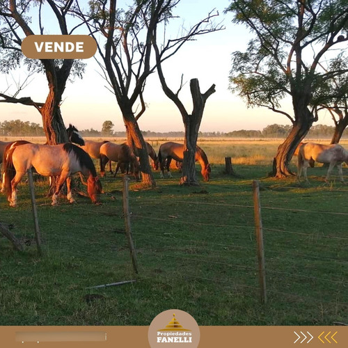 Pegado A Country Club Chacras Abbott Oportunidad Venta Campo Terreno 6 Hectareas 53738 M2 Sin Expensas Monte Buenos Aires Casa 4 Ambientes 3 Habitaciones, Baño, Cocina Comedor. Se Escucha Oferta!!!