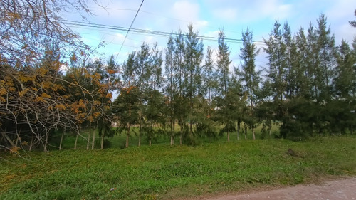Terreno En Venta