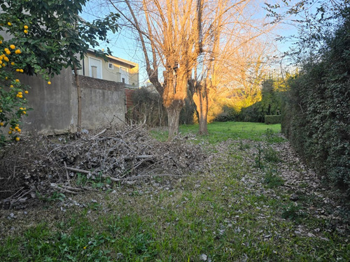 Terreno En Venta En Martin Coronado