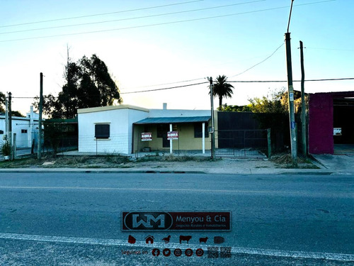 Venta Casa Trinidad Flores 2 Dormitorios Grandes Y Luminosos + Patio Verde Con Arboles Frutales + Galpón Con Cochera Doble