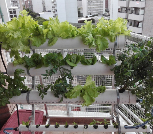 Imagen 7 de 8 de Kit Nutrientes Hidroponia Rinde 1000 Litros.