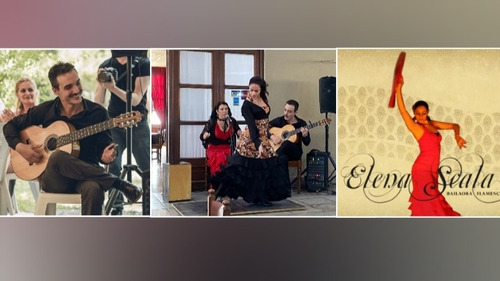 Show Flamenco Eventos.show De Resto Centro Asturiano V.lopez