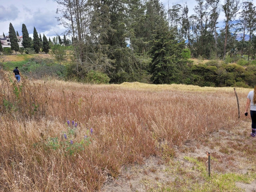 Imagen 6 de 8 de Vendo Terreno De 1000 M2 Y De 2070 M2 En Tababela (precio Negociable)