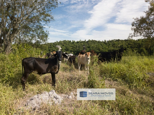 Fazenda A Venda No Bairro Centro Em Viana - Es. - 504-1