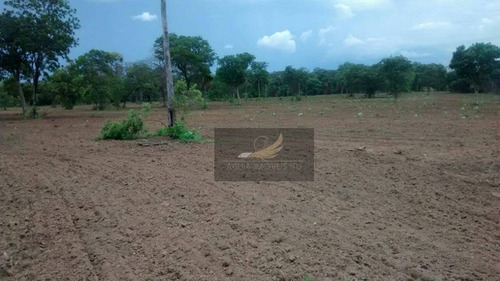 Imagem 4 de 8 de Fazenda À Venda, 29040000 M² Por R$ 20.000.000 - Zona Rural - São João Da Aliança/go - Fa0019