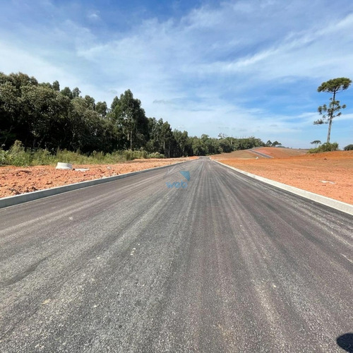 Imagem 6 de 12 de Terreno À Venda No Loteamento Vista Alegre, Bairro Costeira Em Araucária. Podendo Ser Parcelado Junto A Loteadora. - Te00151 - 70755623