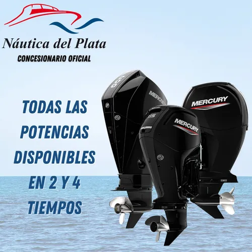 Semirrigido Gomón Viking 5,20 Con Motor Mercury 60 Elpt 4t