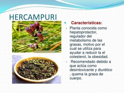 Yerba De Hercampuri A Granel 60gr