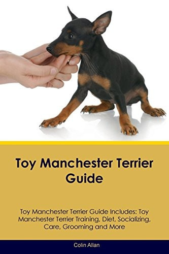 Toy Manchester Terrier Guide Toy Manchester Terrier Guide In