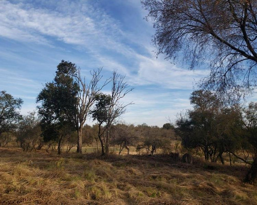 Imagen 8 de 9 de Lote Fondo Golf En El Terrón Mendiolaza