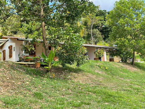 Imagen 9 de 30 de Espectacular Finca Clima Caliente En Venta Porce