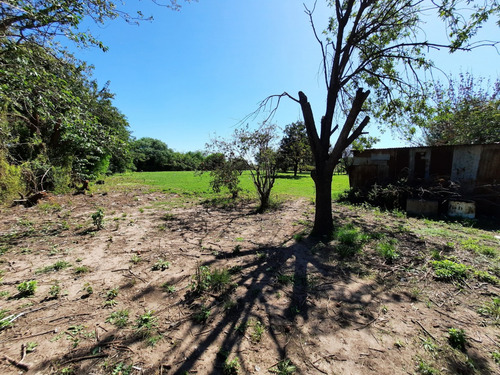 Gran Lote De 5800 Mt² En Avenida Alvarez Y Reynoso