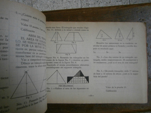 Geometria Y Aplicaciones Geometricas Eva Trejo Hernandez 40s (Usado)
