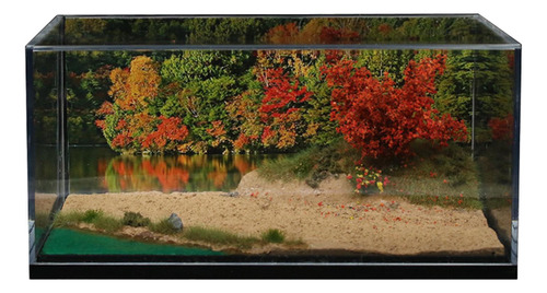 Cenário De Fundo De Riverside Lakeside Em Escala 1:64 Com