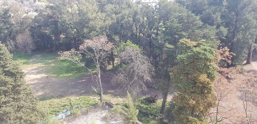 Imagen 8 de 16 de Terreno - Bella Vista