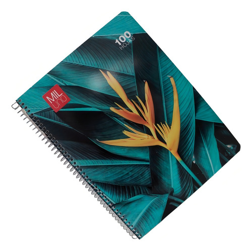 Caderno Profissional Mix Mil Um 100 Folhas Quadro Pequeno