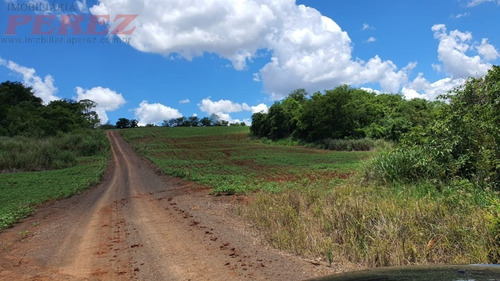 Chácaras_sítios_fazendas Para Venda - 13650.7652
